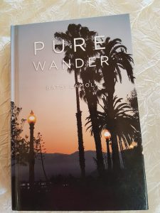 Pure Wander_Batsi Lamola