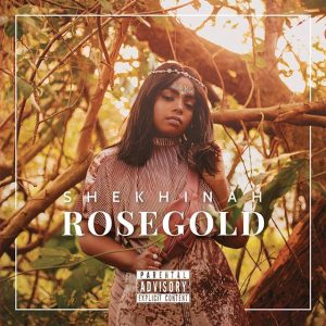 My Journey to Success Shekhinah Donnell. Rosegold