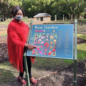 Prof. Thuli Madonsela Plants A Rose Named After Her