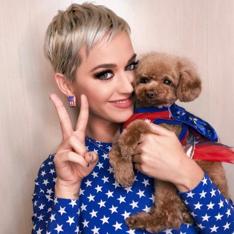 Katy Perry Tops List Of Highest Paid Women In Music