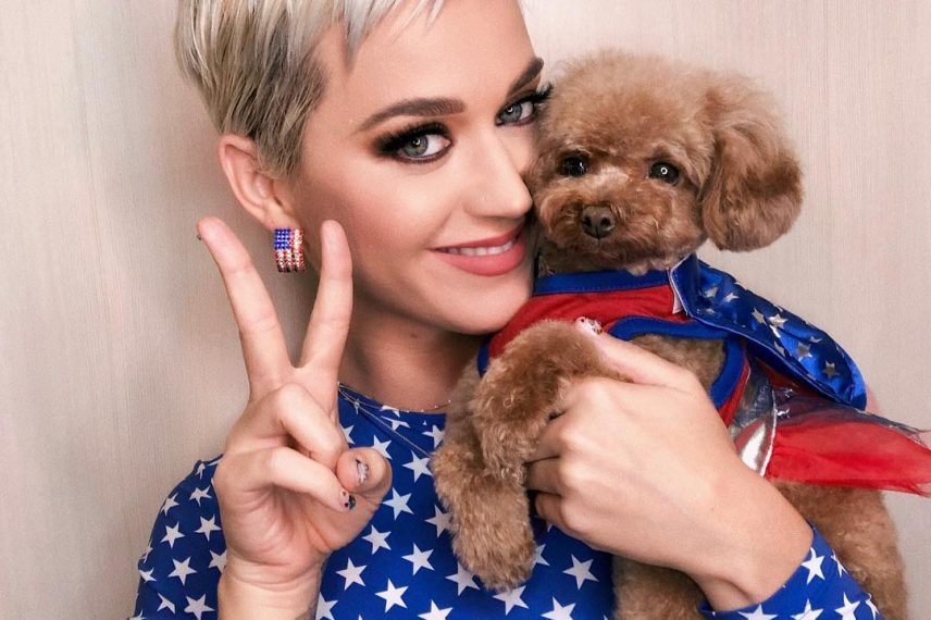 Katy Perry Tops List Of Highest Paid Women In Music